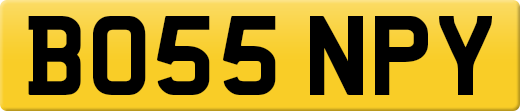 BO55NPY